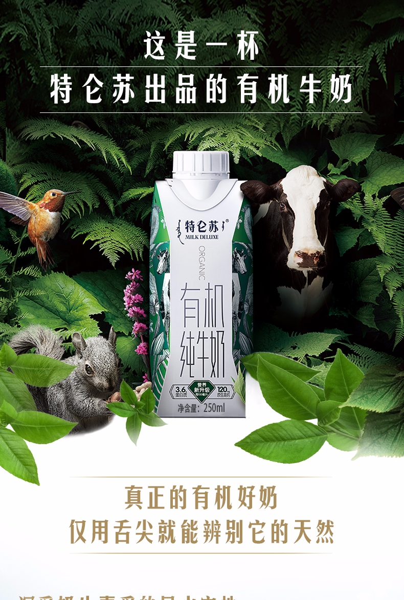 sm蒙牛特仑苏有机纯牛奶 梦幻盖250ml*12